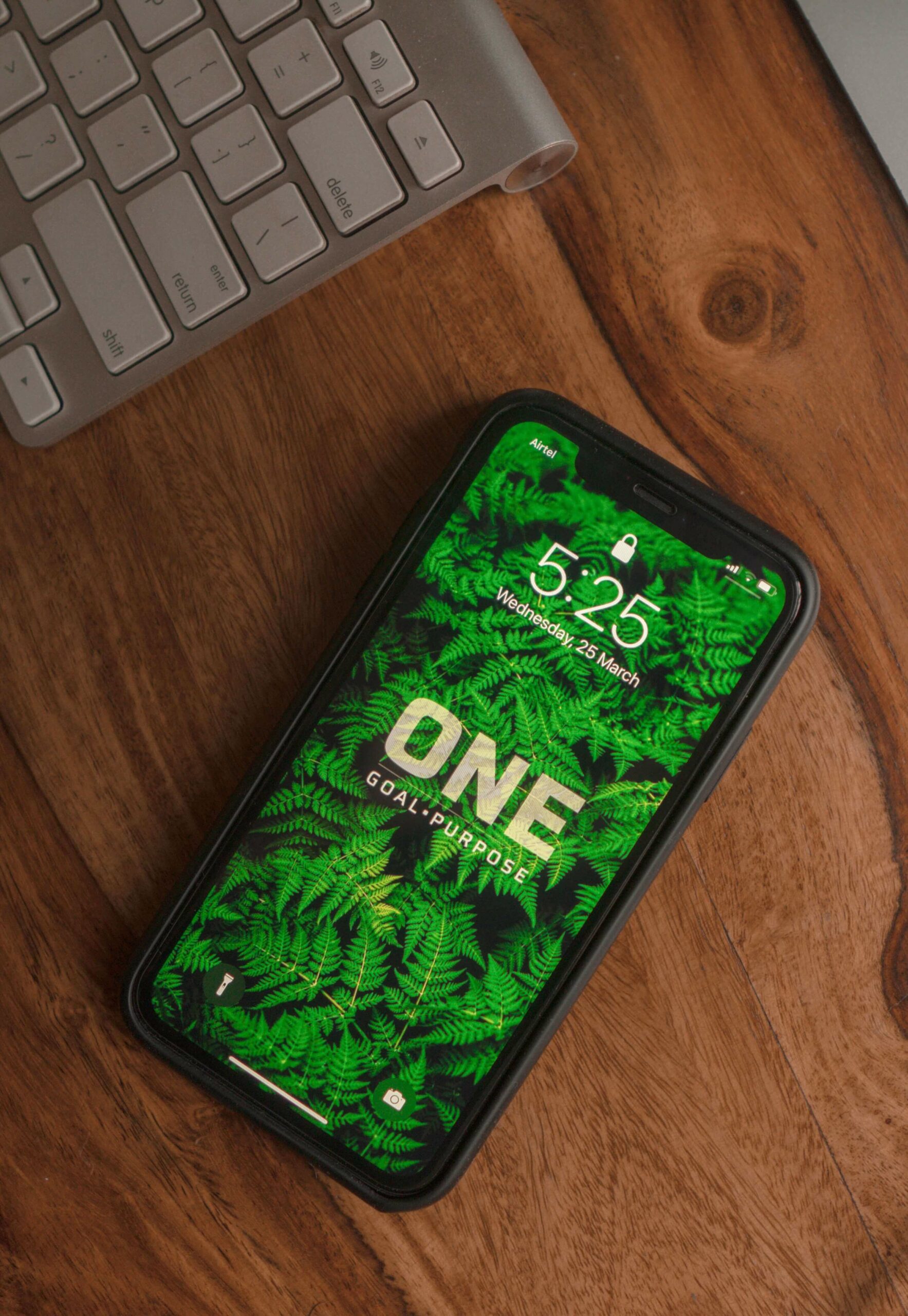 iPhone im Lockscreen mit dem Hintergrundbild von Pflanzen